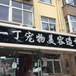 一丁宠物美容造型