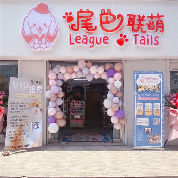 尾巴联萌League of tails