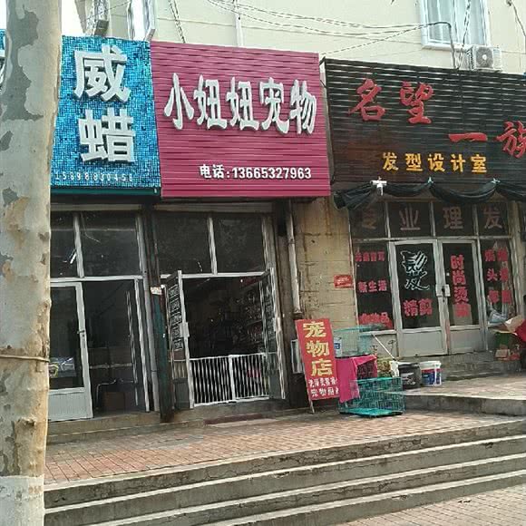 小妞妞宠物