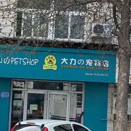 大力の宠物店