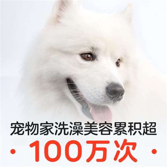 宠物家(东直门店)
