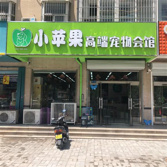 小苹果爱宠生活馆