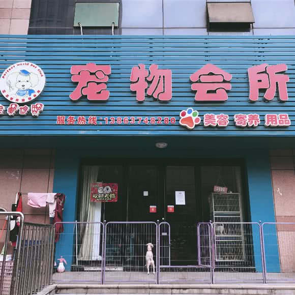 完美世界宠物会所(新世纪广场店)