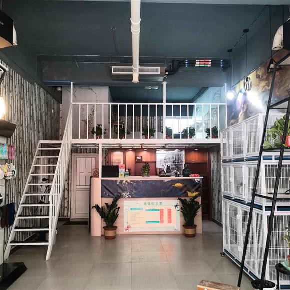 遇见萌宠生活馆(宠物店)