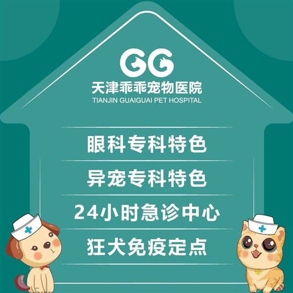 乖乖连锁·华庭动物医院24小时?眼科?异宠?急重症转诊中心