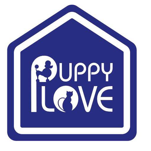 Puppy love宠物美容