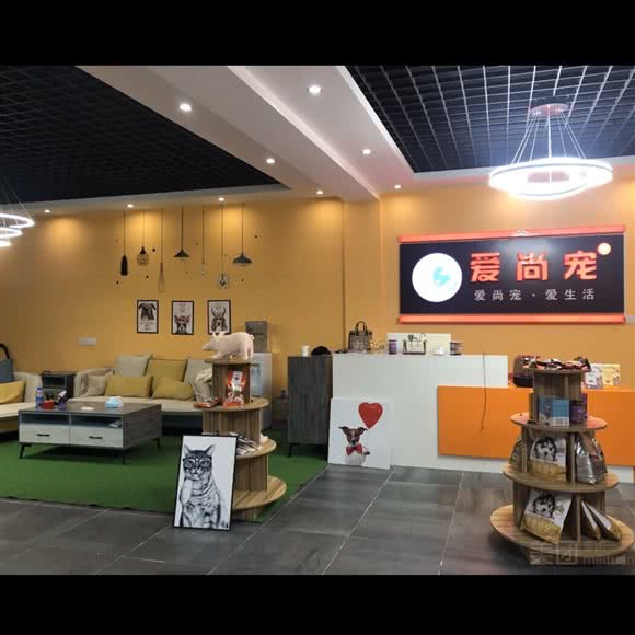爱尚宠·宠物
