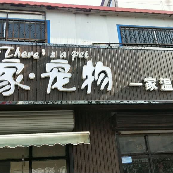 有家宠物