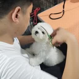 麦萌宠物(中原万达店)