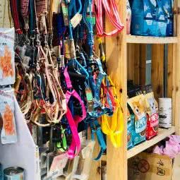 公尺团の宠物店
