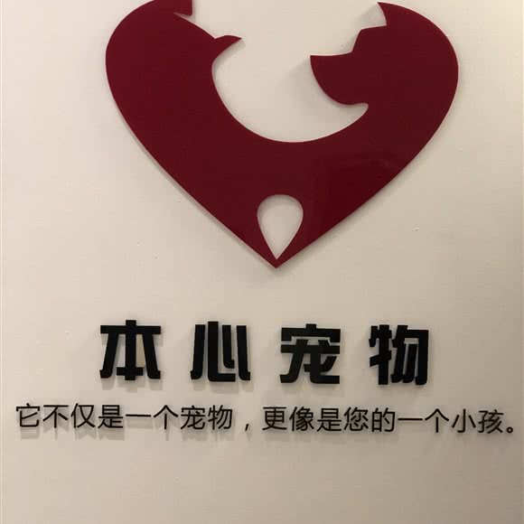 本心宠物