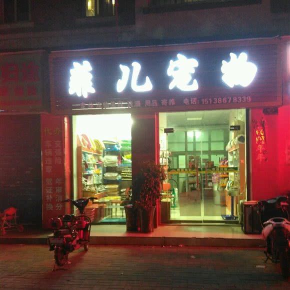 菲儿宠物