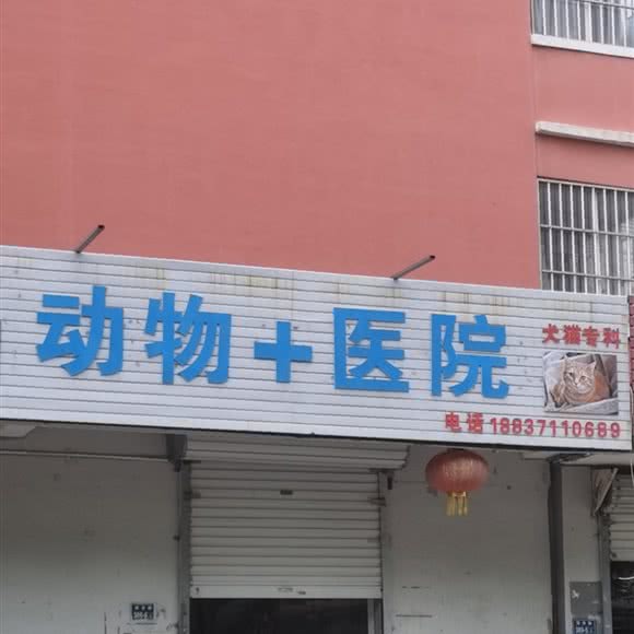 张广福动物医院