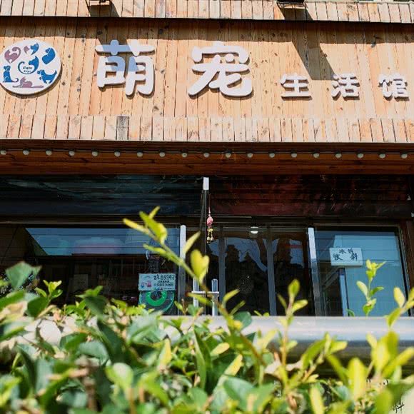 萌宠生活馆宠物店