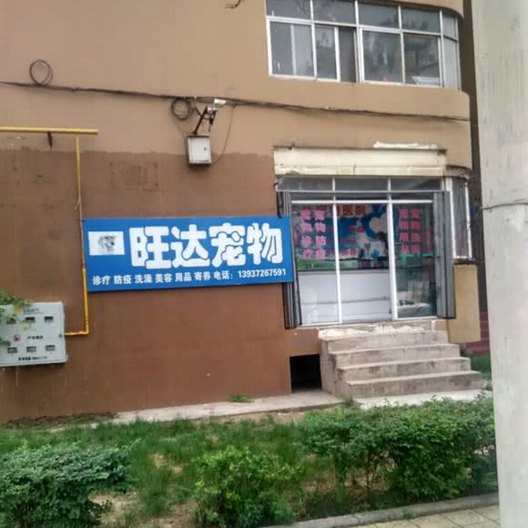 旺达宠物