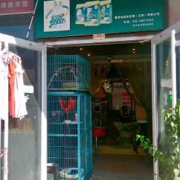 小魏名猫