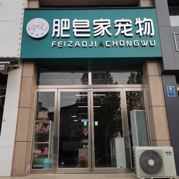 肥皂家宠物