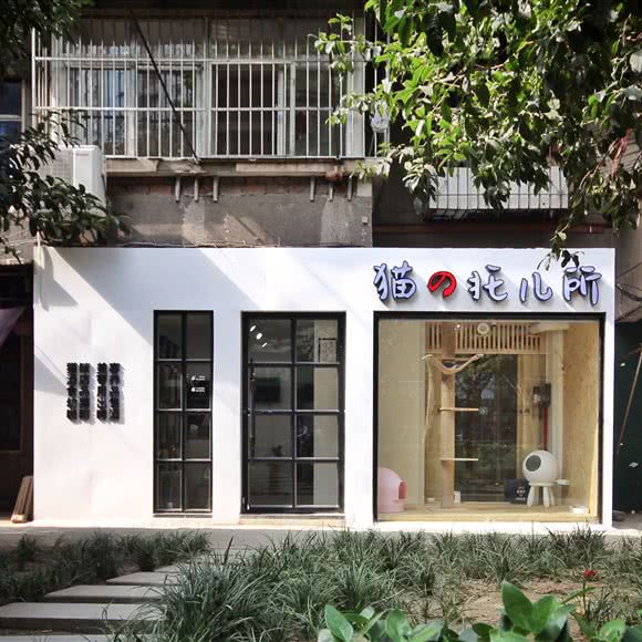 猫的托儿所(西北湖店)