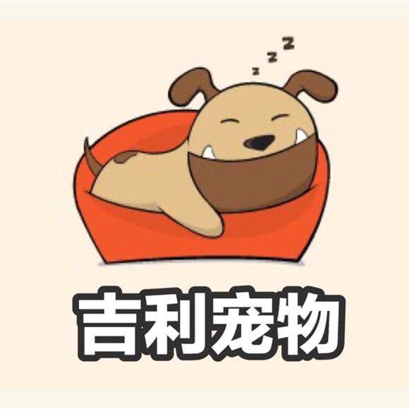 吉利宠物