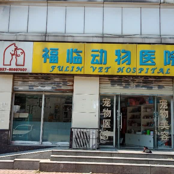 福林动物诊所