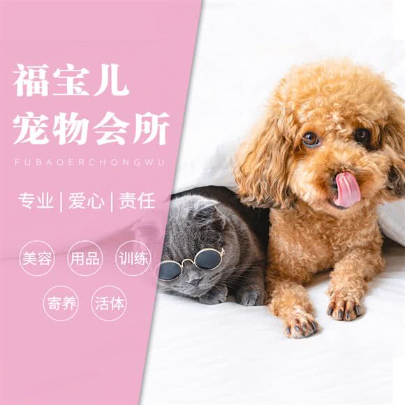 福宝儿宠物会所(泛海店)