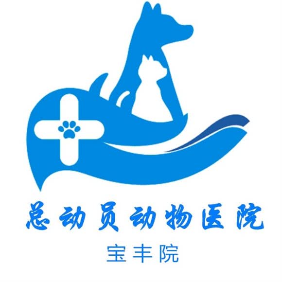 总动员动物医院(汉口分院)