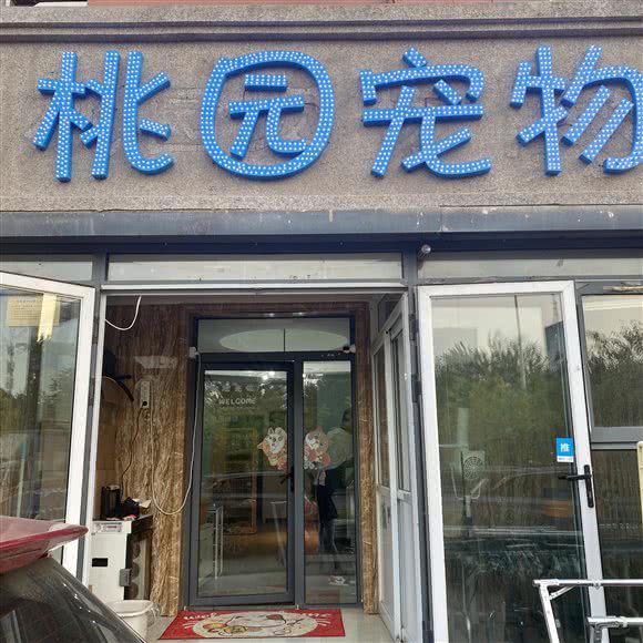 桃园宠物中心