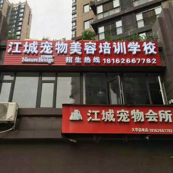 江城宠物美容培训学校