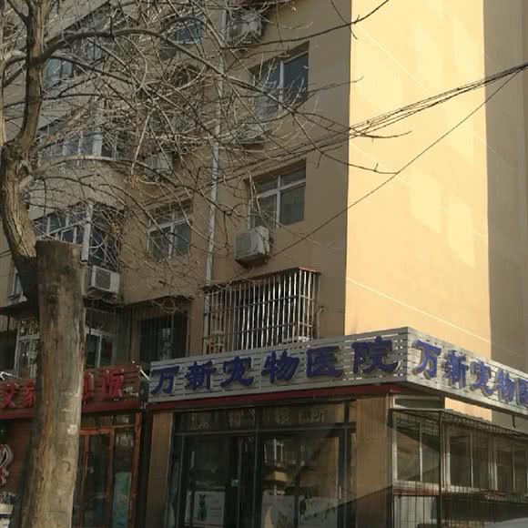 万新宠物
