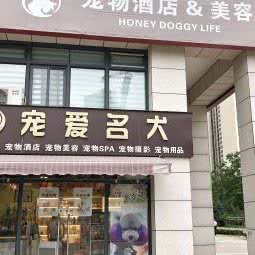 宠爱名犬