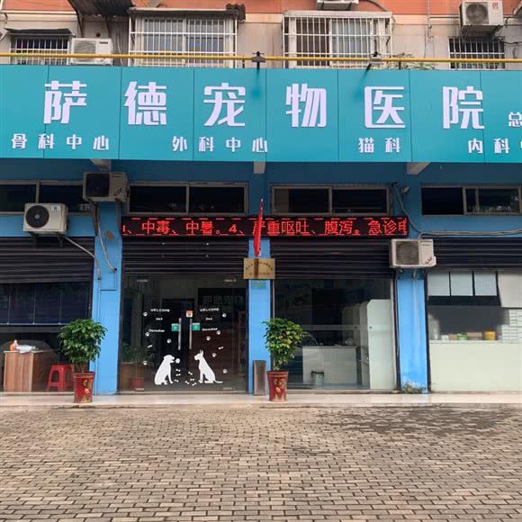 萨德宠物诊所