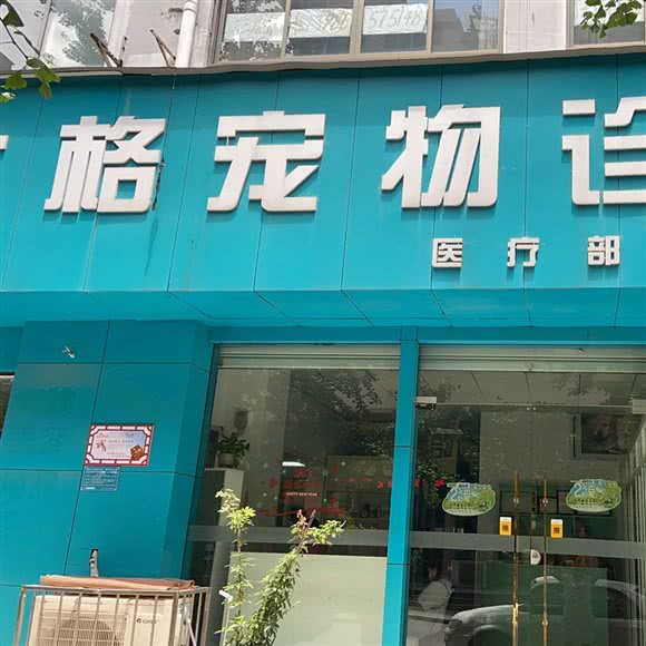 太格宠物诊所