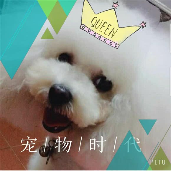 宠物时代生活馆