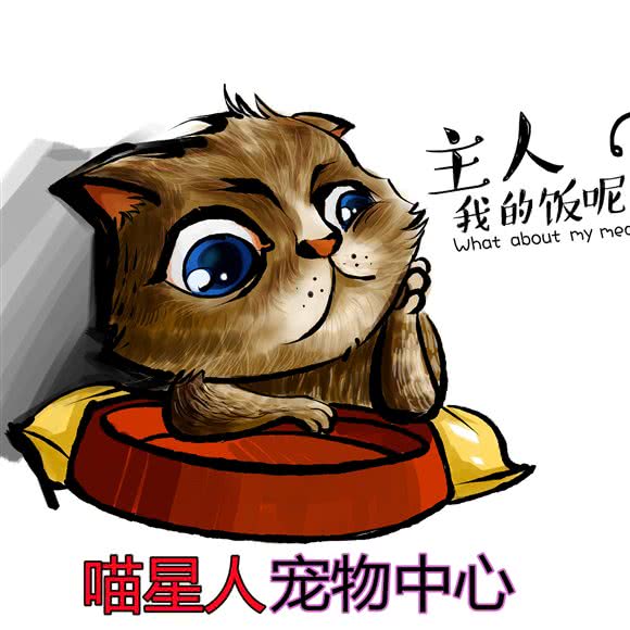 喵星人宠物中心