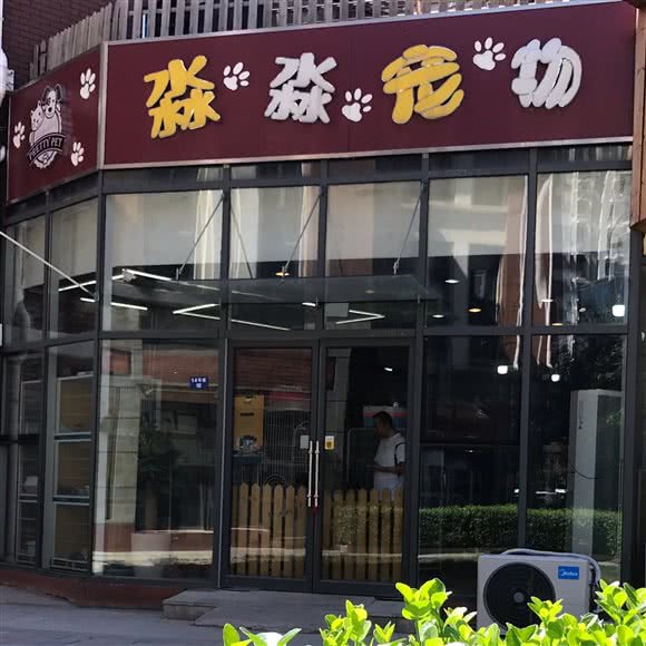 淼淼宠物