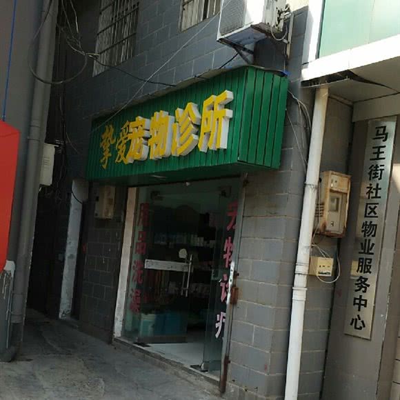 挚爱宠物诊所