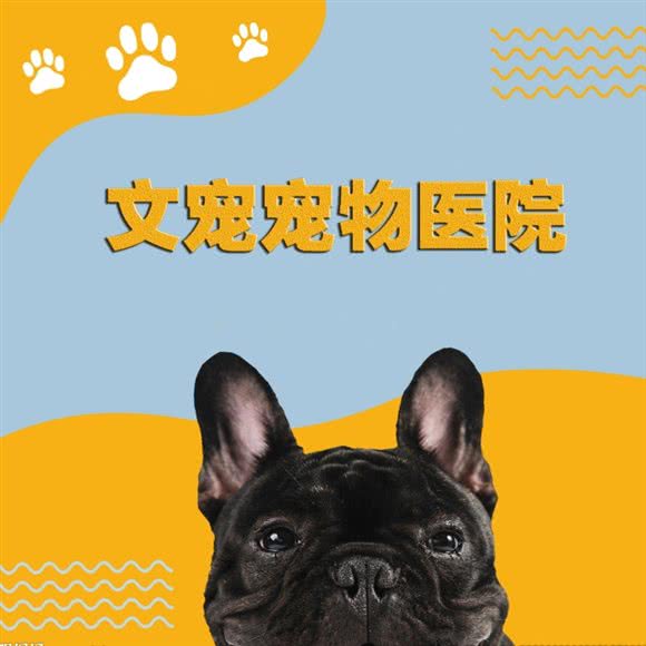 文宠宠物医疗中心·24小时(中央美郡店)