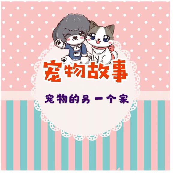 宠物故事