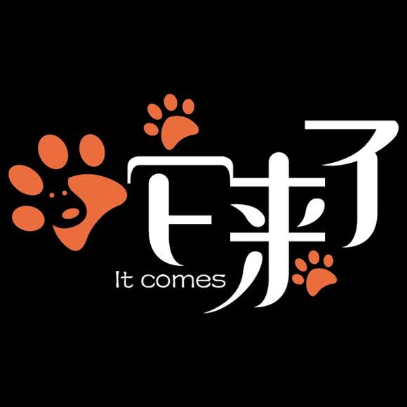 它来了·洗护美容撸猫(开福店)