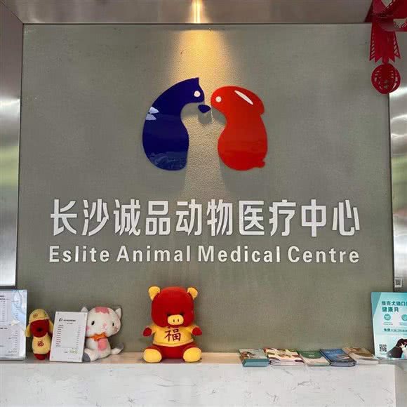 长沙诚品动物医院