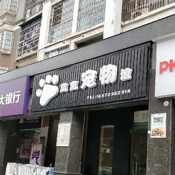 窝窝狗狗馆