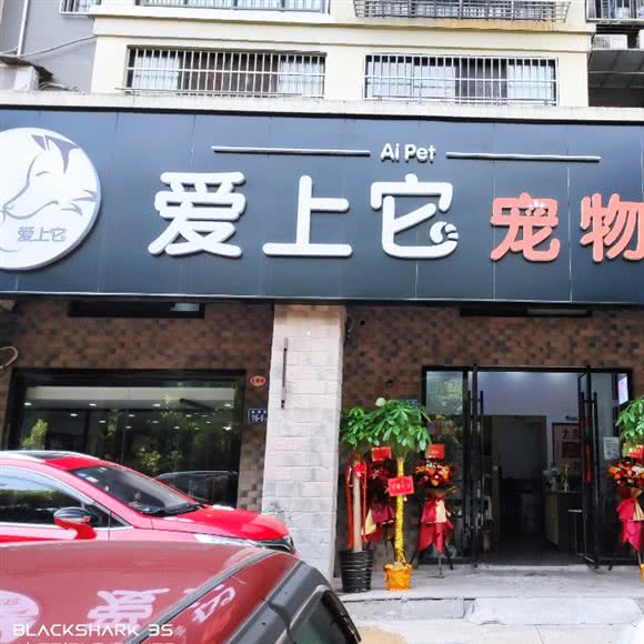 爱上它宠物店