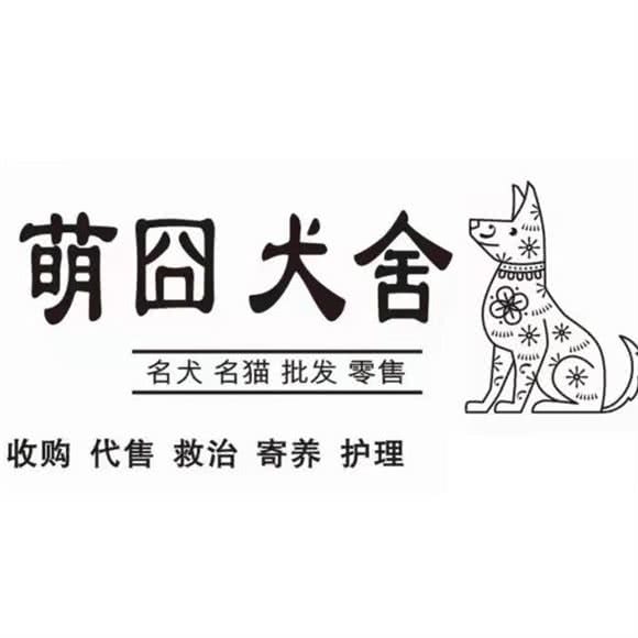 萌囧犬舍·猫