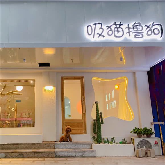 乐园宠物(河西店)