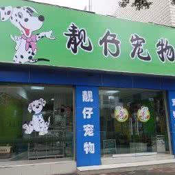 靓仔狗狗美容店