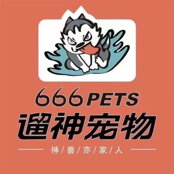 遛神宠物