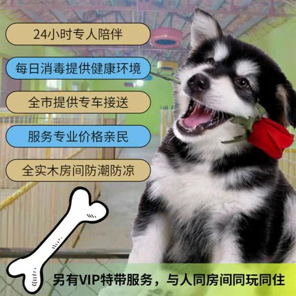 爱宠绿洲宠物寄养公寓