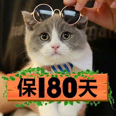 Only Cat 唯有猫名猫馆(北京路光明广场店)