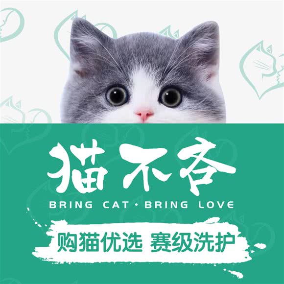 猫不吝·宠舍生活馆(江泰路店)