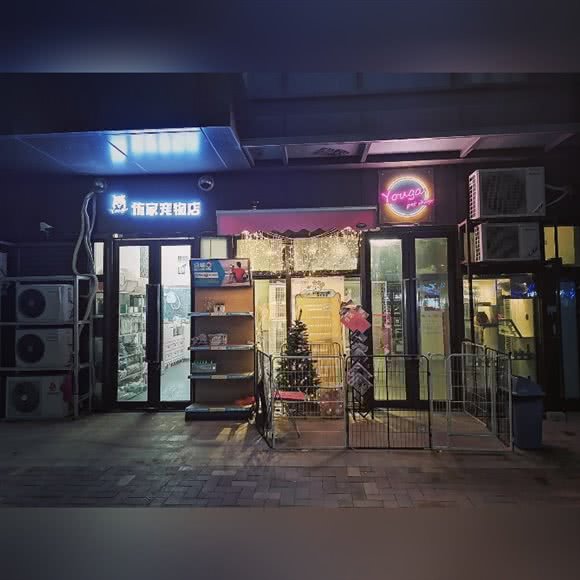 Youga侑家宠物店